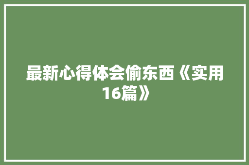 最新心得体会偷东西《实用16篇》 担保书