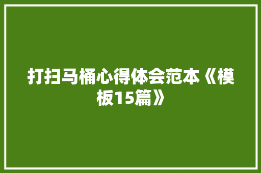 打扫马桶心得体会范本《模板15篇》 公证书