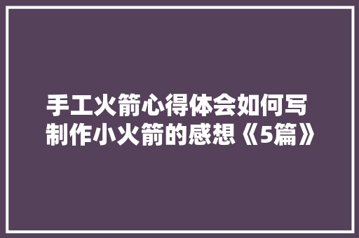 手工火箭心得体会如何写 制作小火箭的感想《5篇》 教育论文
