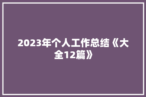 2023年个人工作总结《大全12篇》 论文