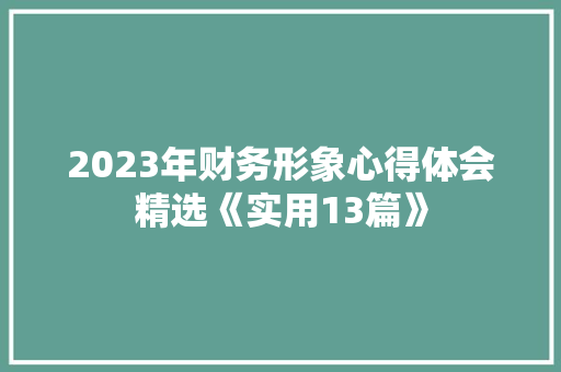 2023年财务形象心得体会精选《实用13篇》 个人简历