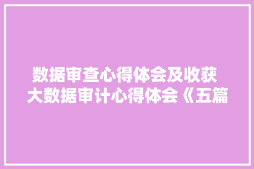 数据审查心得体会及收获 大数据审计心得体会《五篇》 办公写作