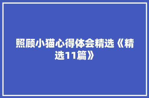 照顾小猫心得体会精选《精选11篇》 简历资料