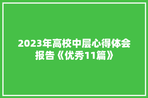 2023年高校中层心得体会报告《优秀11篇》 个人简历