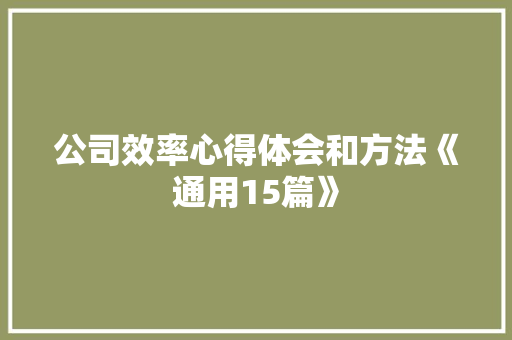公司效率心得体会和方法《通用15篇》 担保书