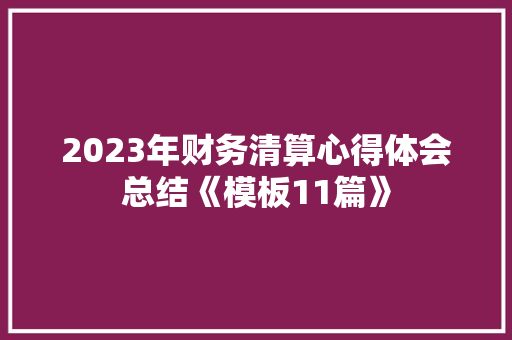 2023年财务清算心得体会总结《模板11篇》 个人写作