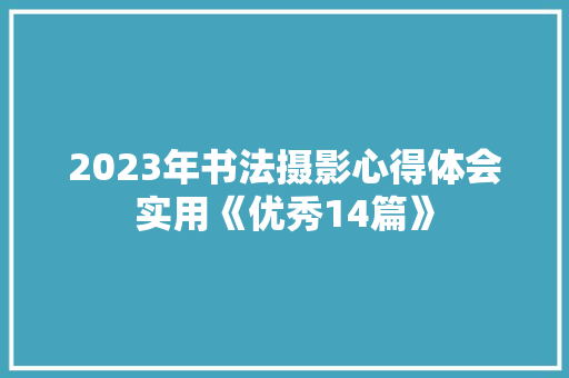 2023年书法摄影心得体会实用《优秀14篇》 担保书